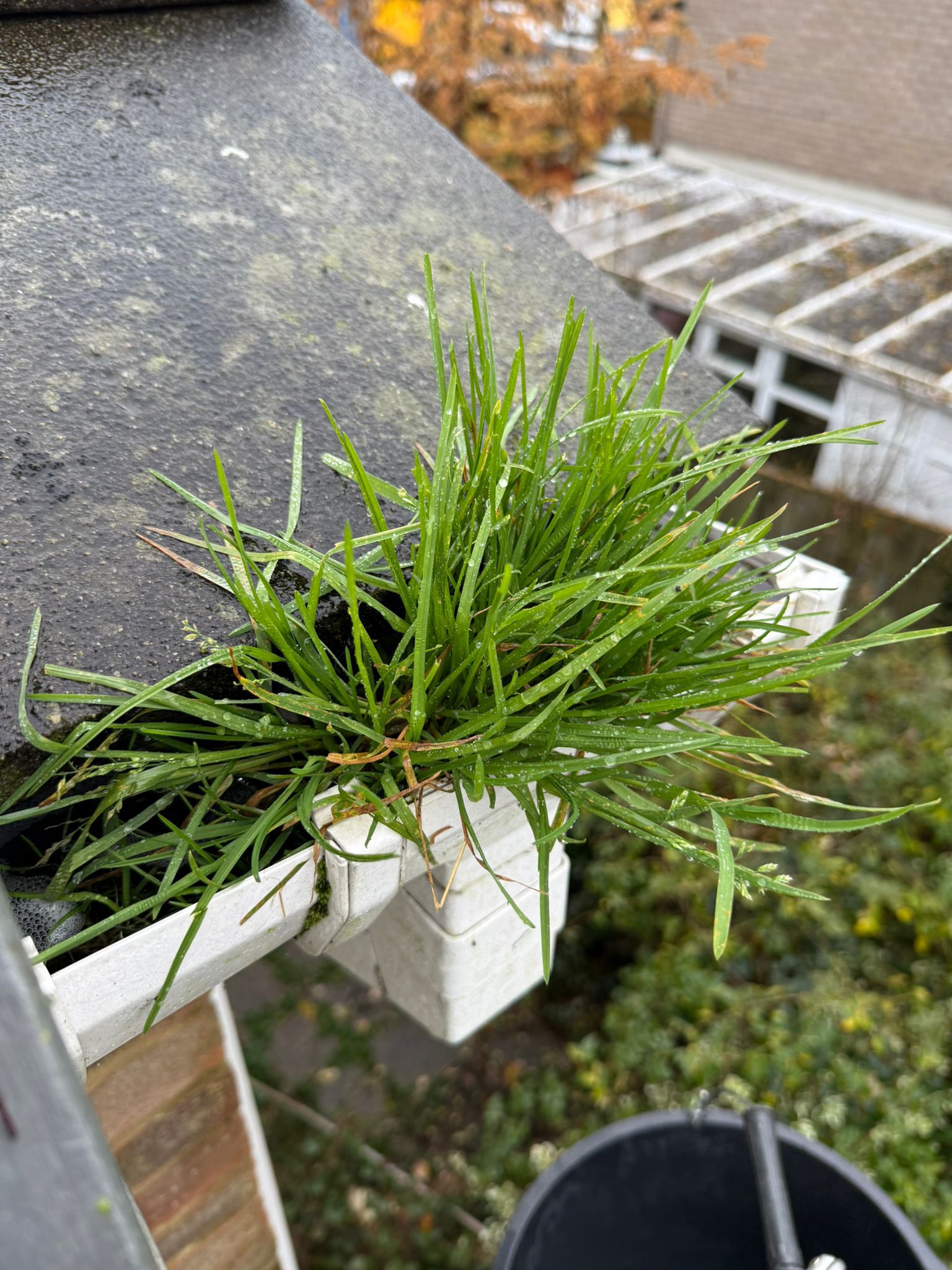 Blocked gutter downpipe in Newbury